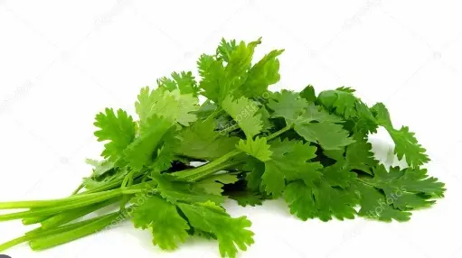 Coriander Each