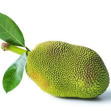 Jackfruit 