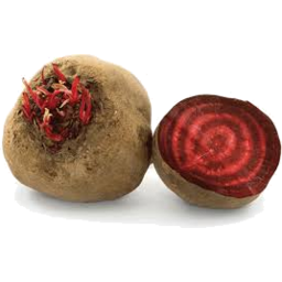 Beetroot