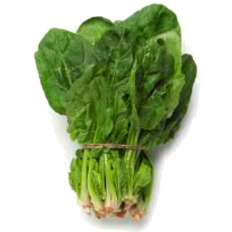 Spinach 
