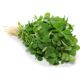 [310042] Methi Leaves