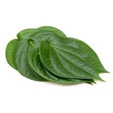 [310003] Betel Leaves