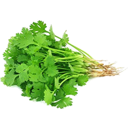 [310011] Coriander Each
