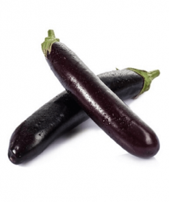 [310039] Eggplant Long 