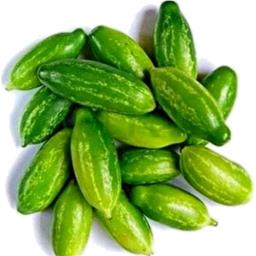 [310090] Tindora - Fresh 